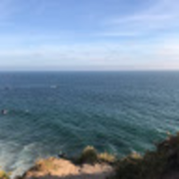 Meet your Posher, Lily - Picture 1 of 1